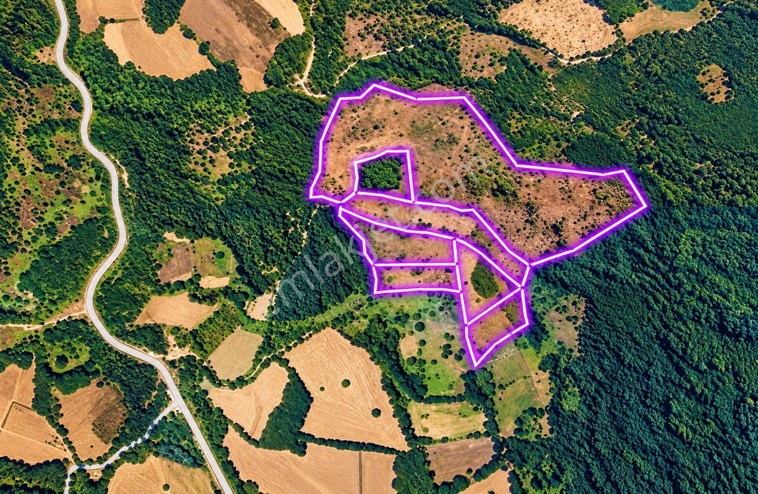 Çanakkale Yenice Taban Mahallesin'de Satılık 85.250 M² Tarla — fotoğraf 7