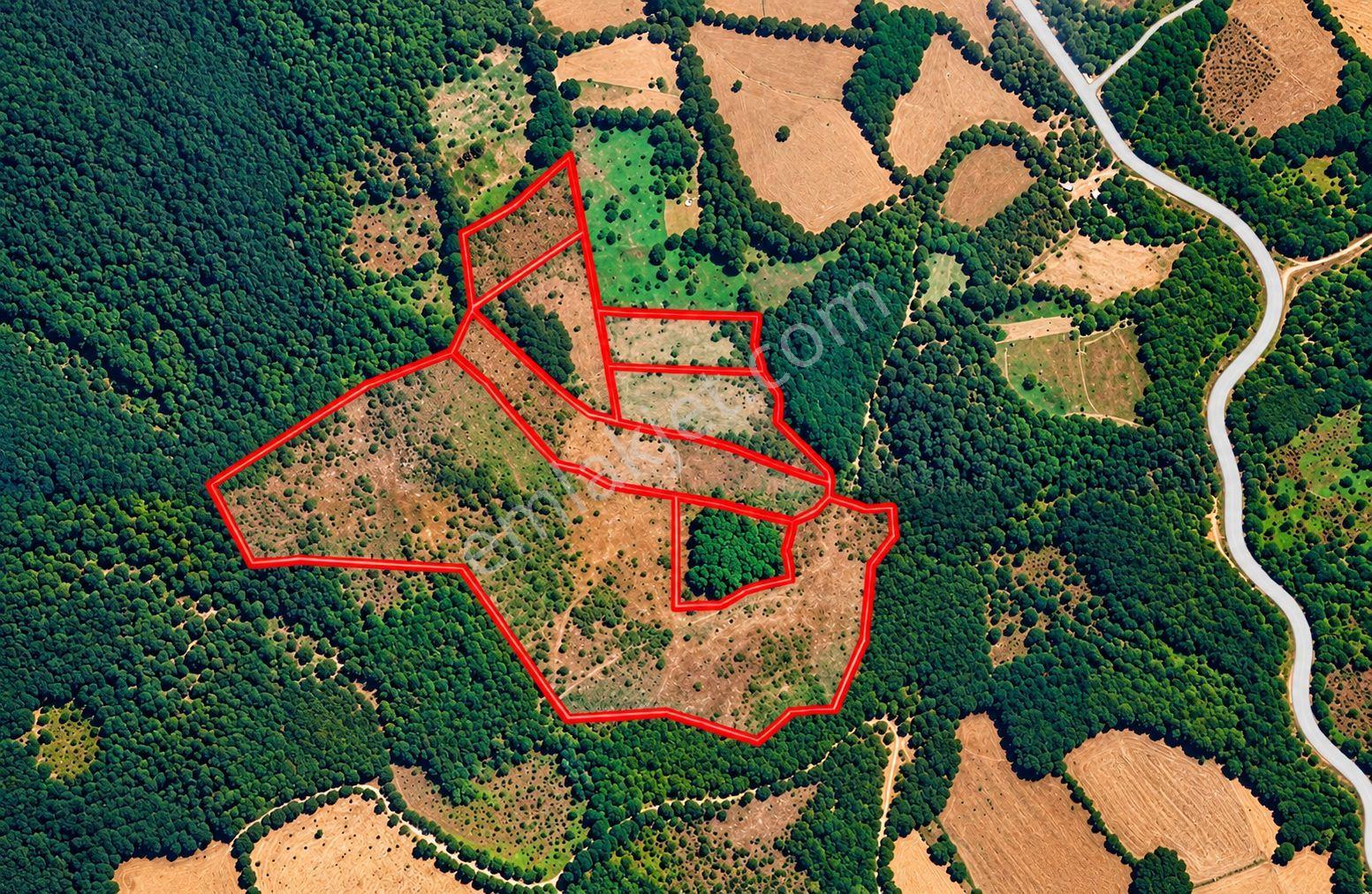 Çanakkale Yenice Taban Mahallesin'de Satılık 85.250 M² Tarla — fotoğraf 8