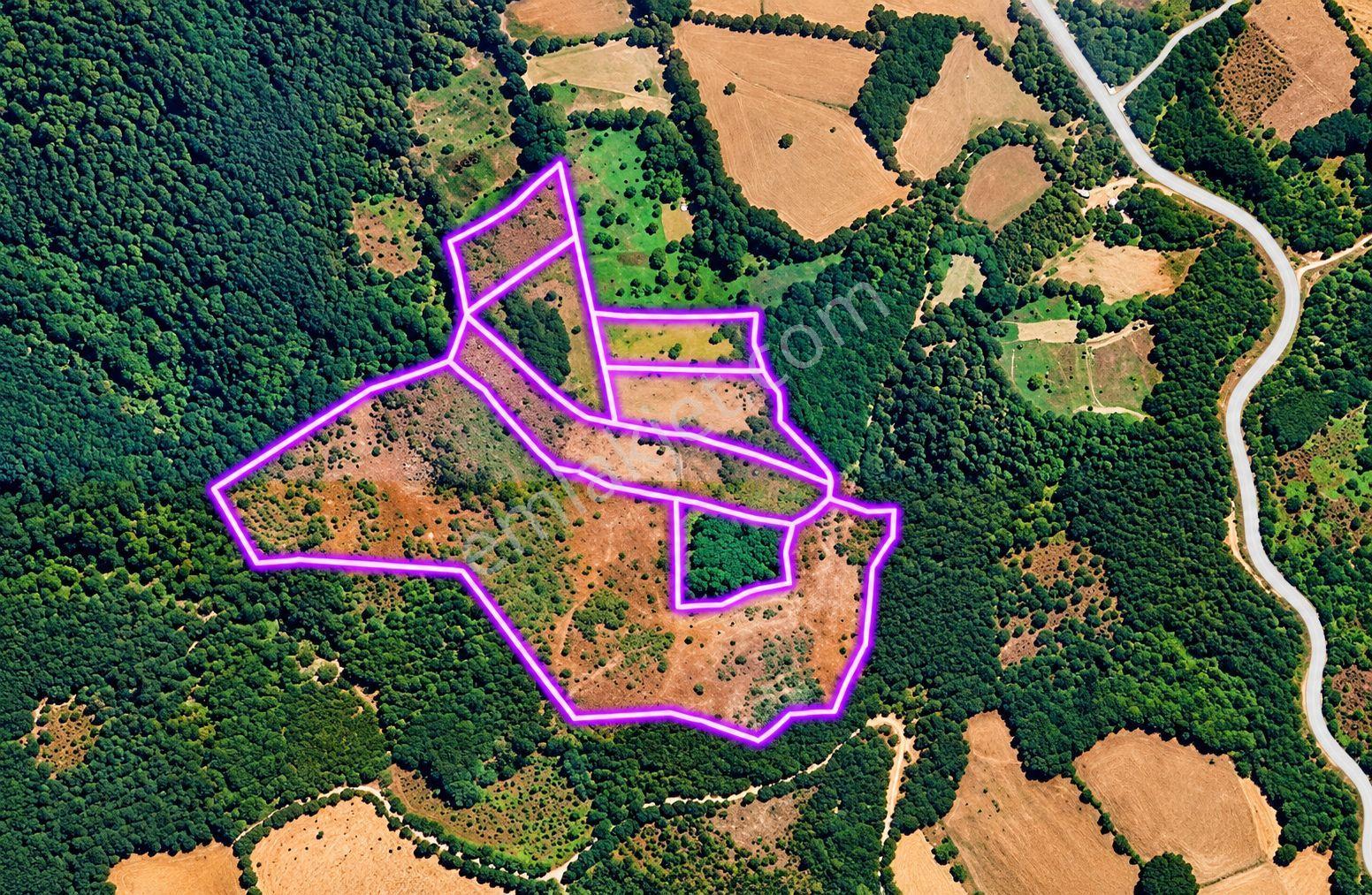 Çanakkale Yenice Taban Mahallesin'de Satılık 85.250 M² Tarla — fotoğraf 9