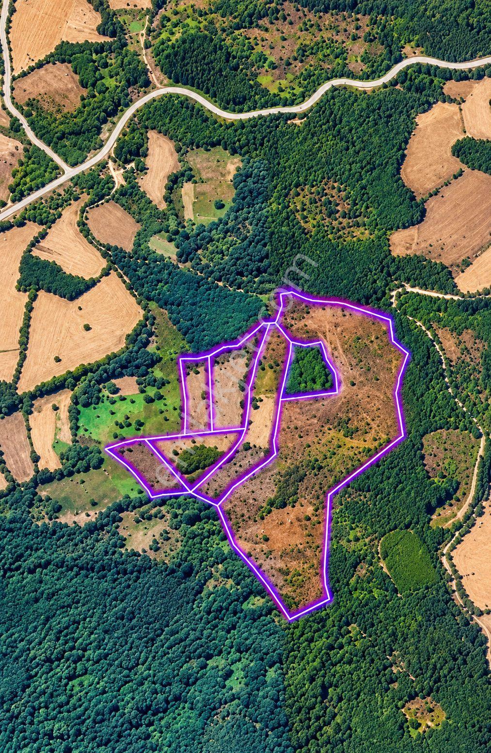 Çanakkale Yenice Taban Mahallesin'de Satılık 85.250 M² Tarla — fotoğraf 10