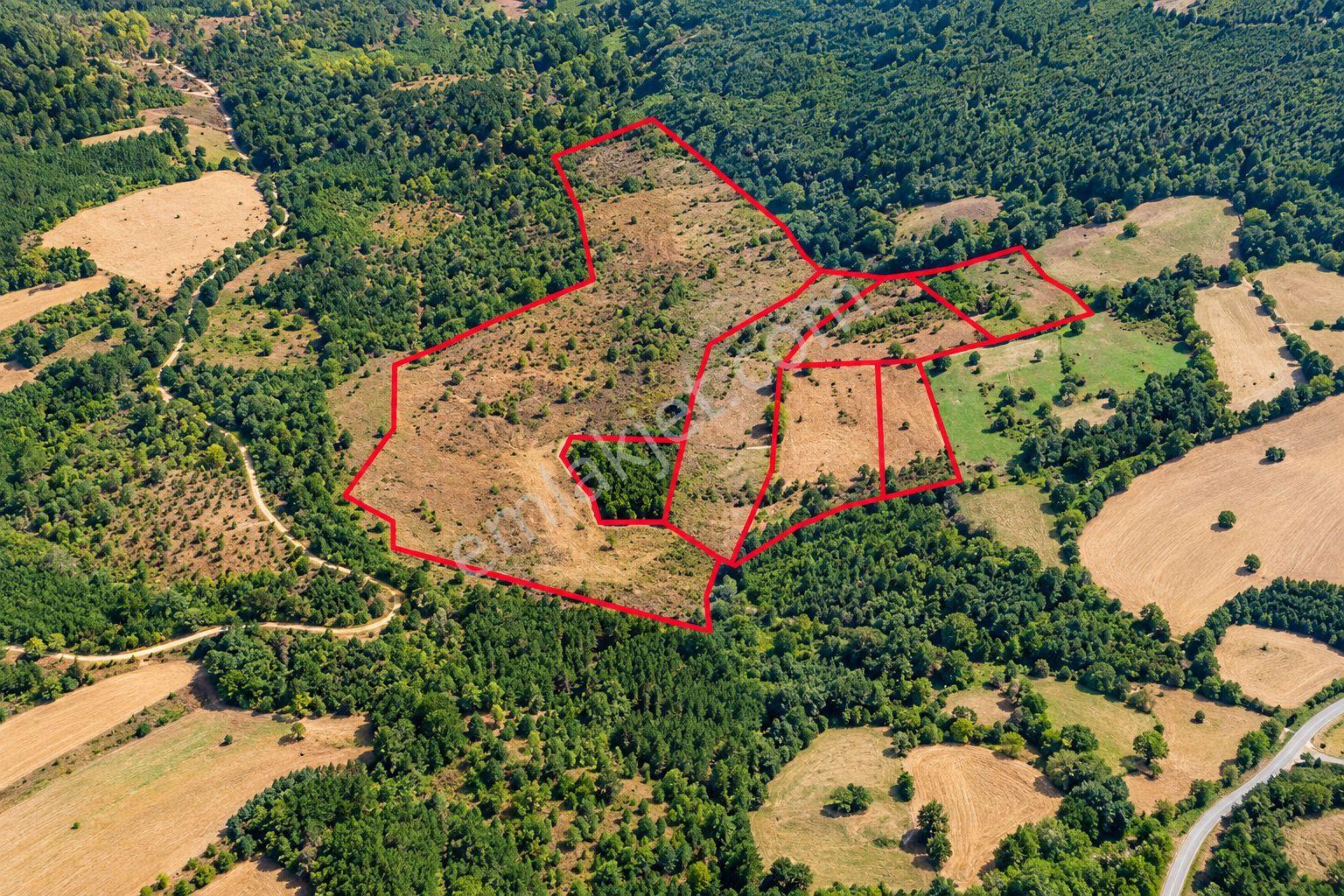 Çanakkale Yenice Taban Mahallesin'de Satılık 85.250 M² Tarla — fotoğraf 11