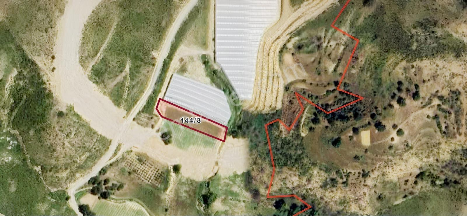 Manavgat Cevizler Mahallesinde Satılık 2.881,91 M² Tarla