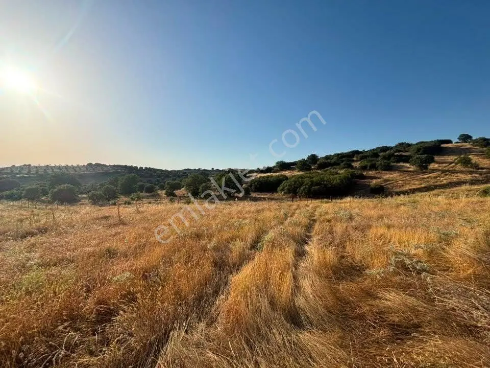 Tc Emlaktan Satılık 78 Dönüm Tarla ! — fotoğraf 5