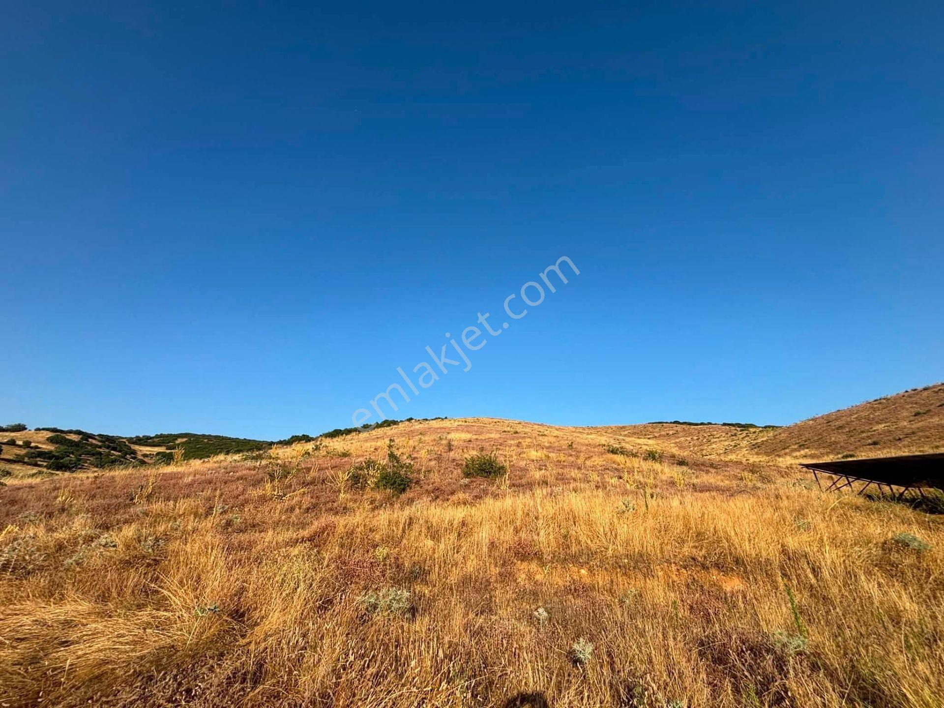 Tc Emlaktan Satılık 78 Dönüm Tarla ! — fotoğraf 22