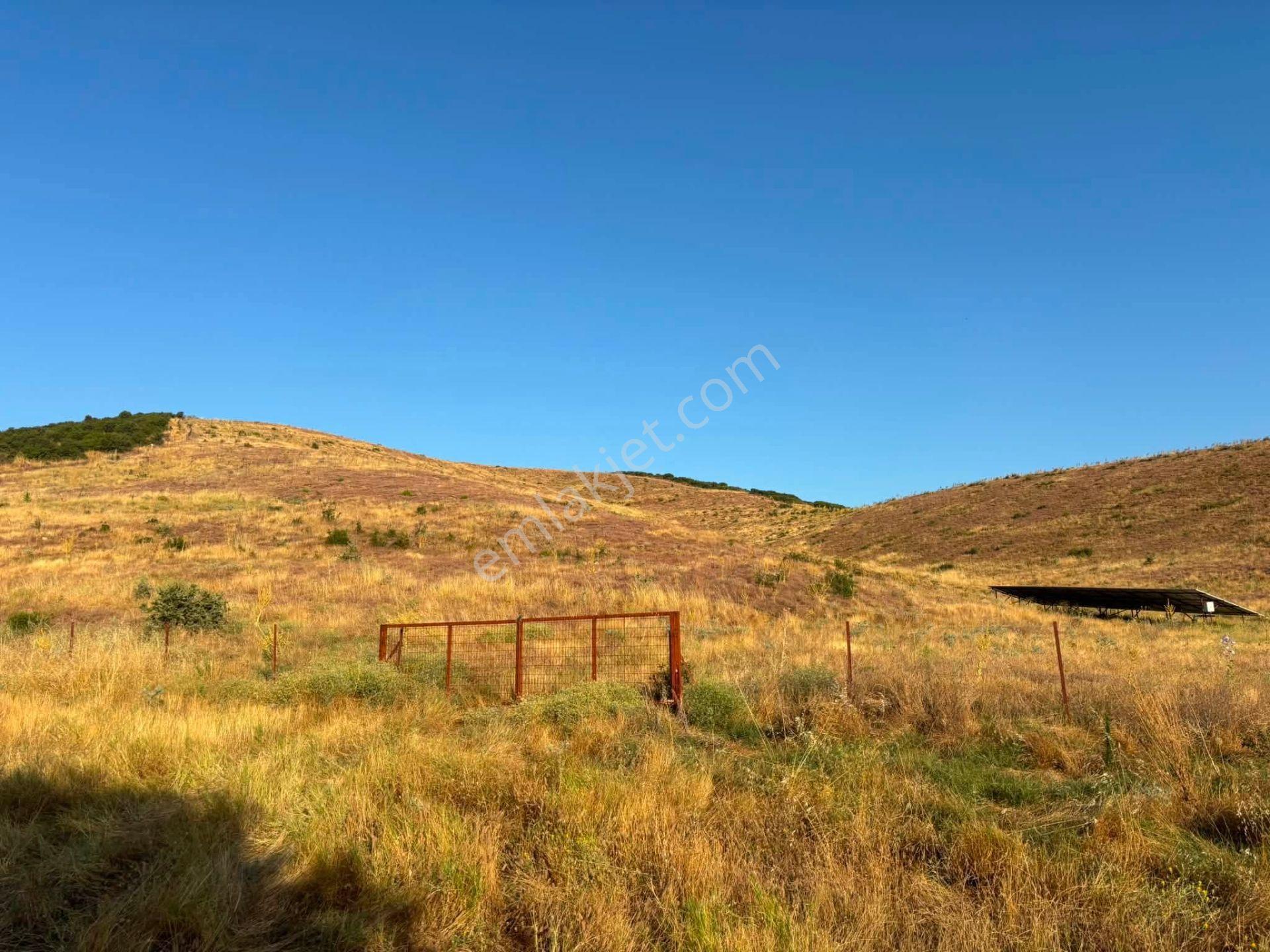 Tc Emlaktan Satılık 78 Dönüm Tarla ! — fotoğraf 23