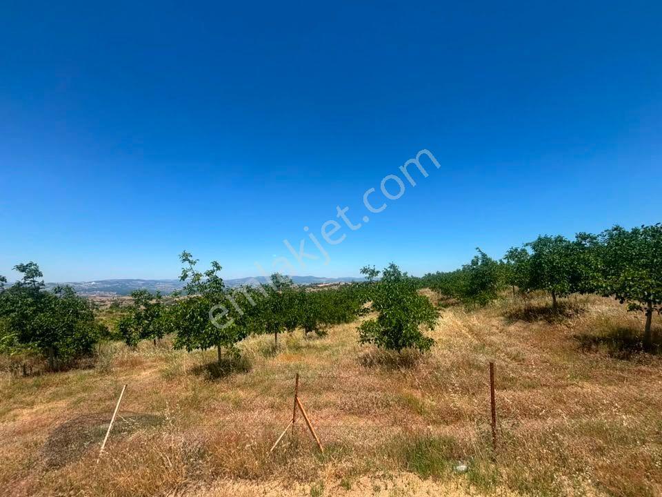 Tc Emlaktan Satılık ​ Toplam 220 Dönüm Arazi ! — fotoğraf 7