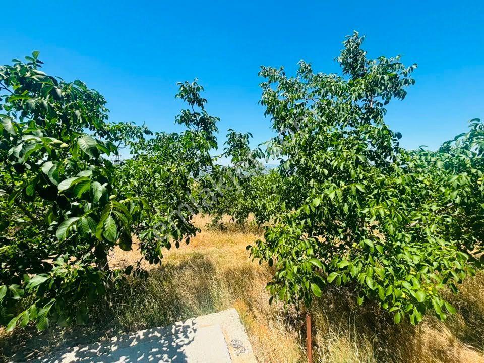 Tc Emlaktan Satılık ​ Toplam 220 Dönüm Arazi ! — fotoğraf 10
