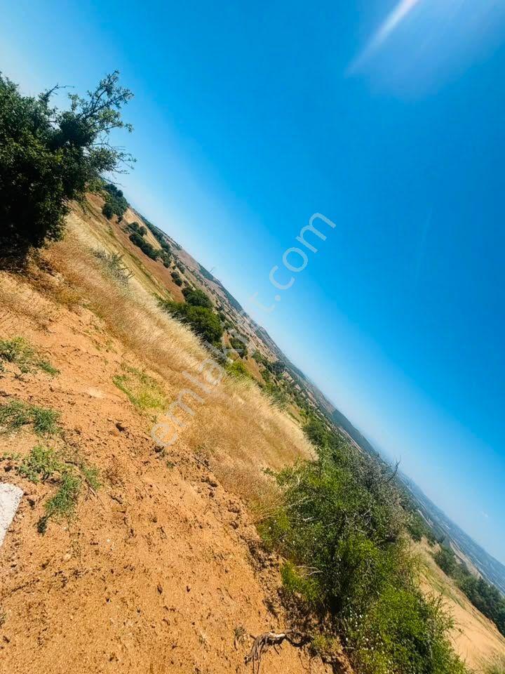 Tc Emlaktan Satılık ​ Toplam 220 Dönüm Arazi ! — fotoğraf 18