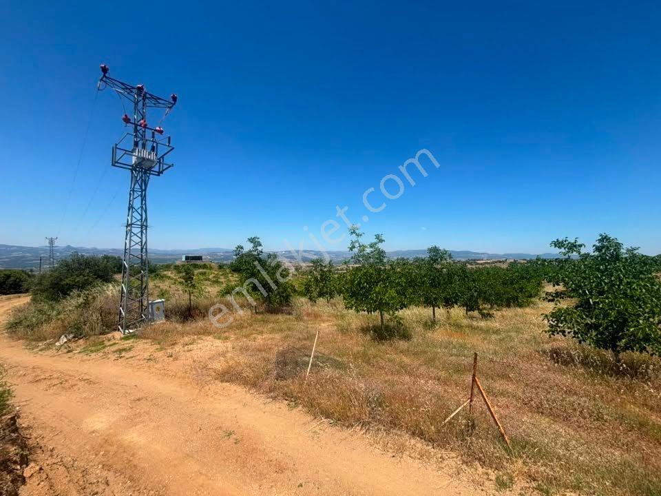 Tc Emlaktan Satılık ​ Toplam 220 Dönüm Arazi ! — fotoğraf 20