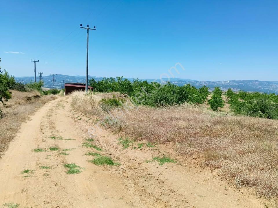 Tc Emlaktan Satılık ​ Toplam 220 Dönüm Arazi ! — fotoğraf 23