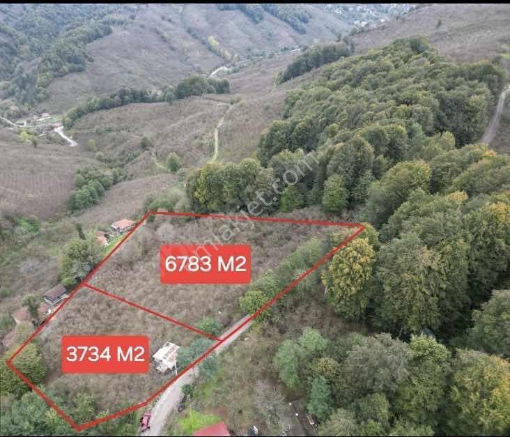 Düzce Cumayeri Yenitepe Köyü Köy İçi Satılık Tarla