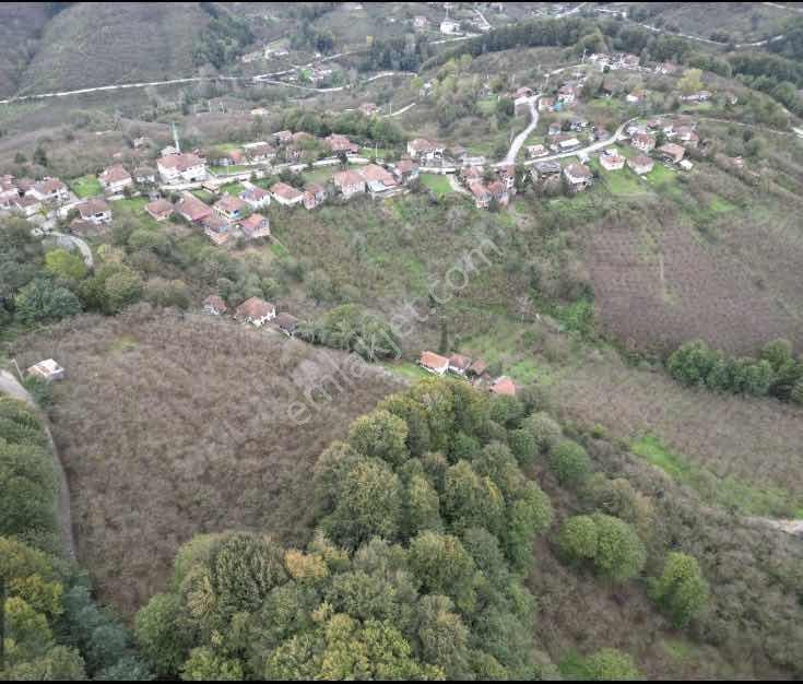Düzce Cumayeri Yenitepe Köyü Köy İçi Satılık Tarla — fotoğraf 2
