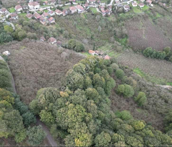 Düzce Cumayeri Yenitepe Köyü Köy İçi Satılık Tarla — fotoğraf 3