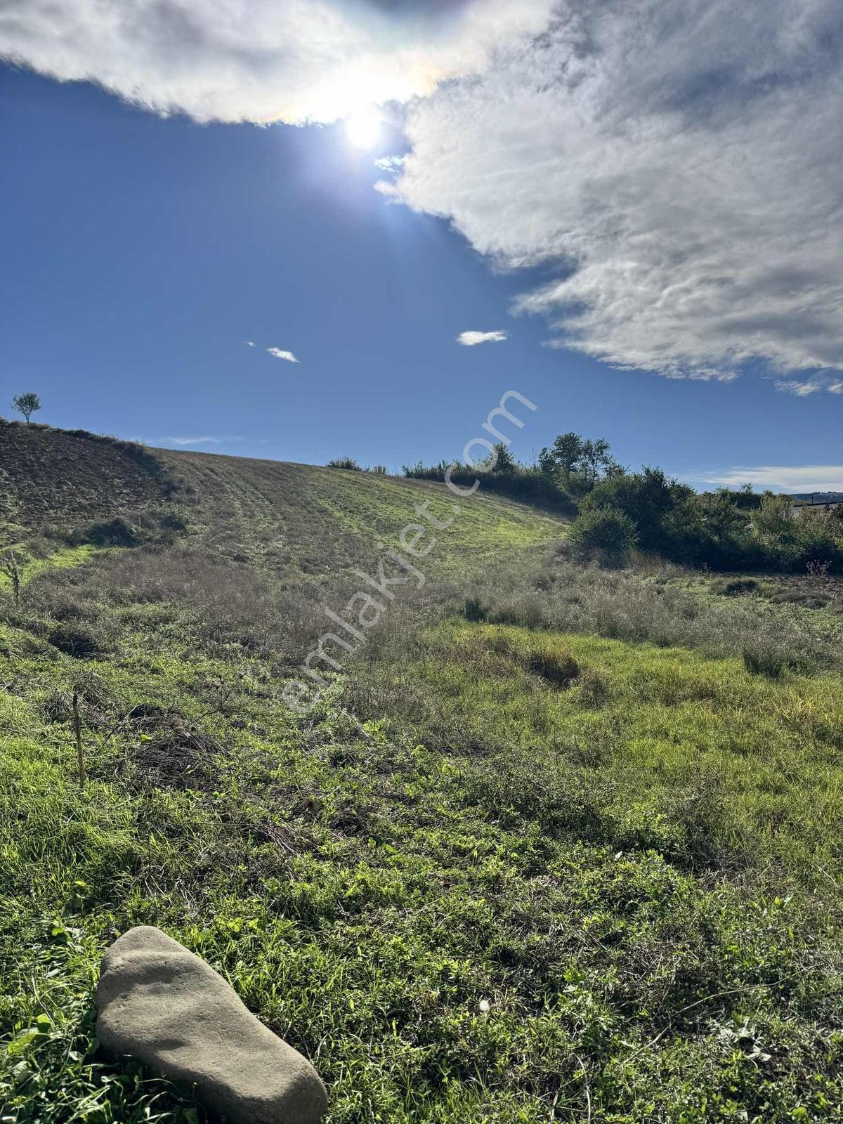 Samsunda Kaçırılmayacak Yatırım! 10.872 M² Satılık Tarla — fotoğraf 5