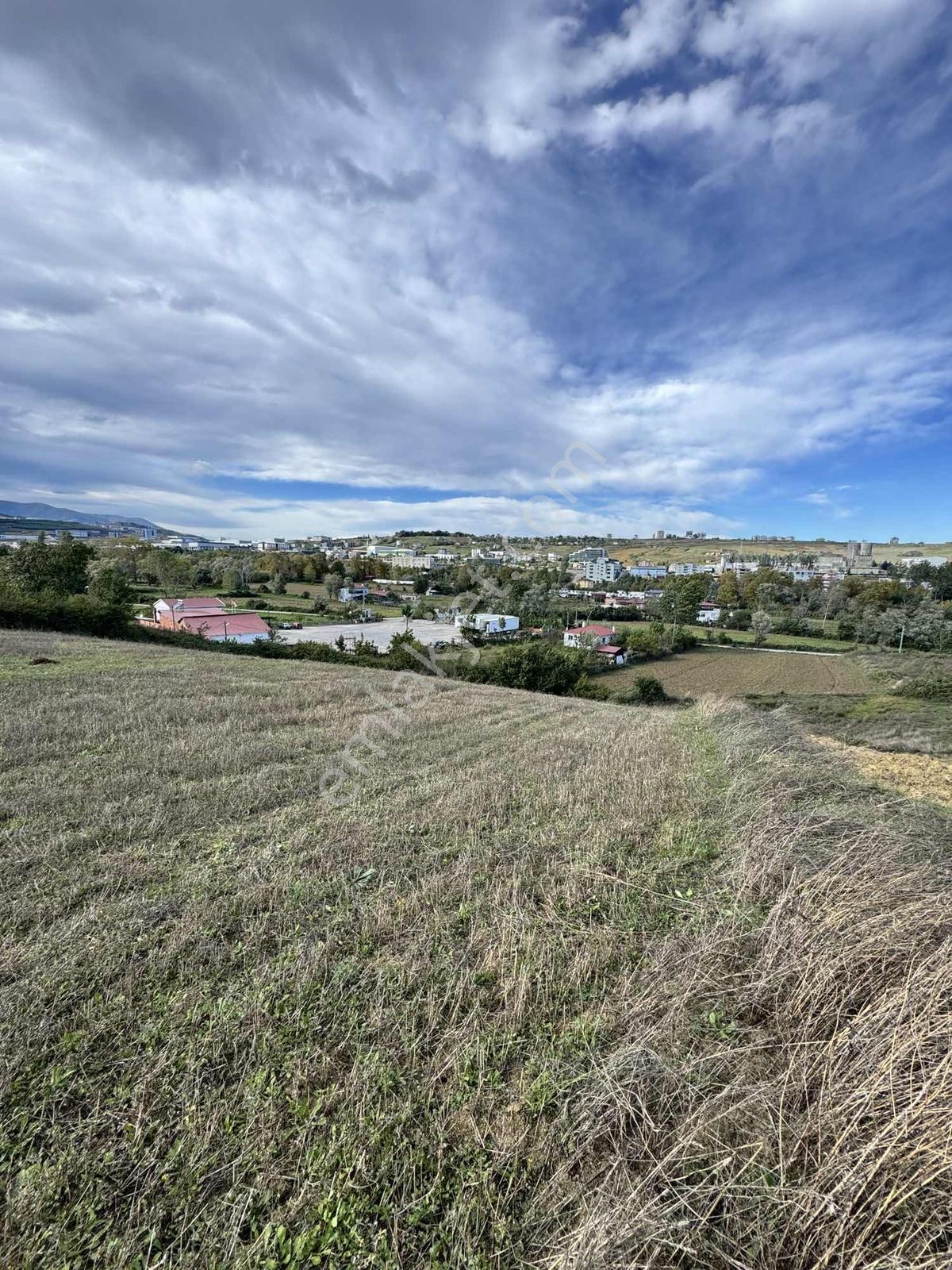 Samsunda Kaçırılmayacak Yatırım! 10.872 M² Satılık Tarla — fotoğraf 7