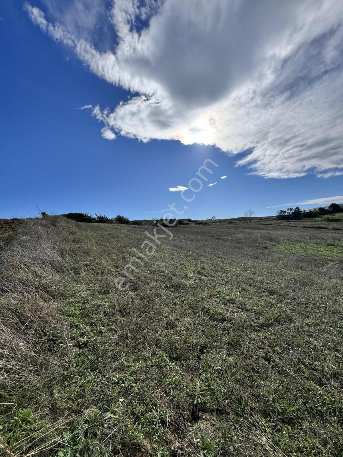 Samsunda Kaçırılmayacak Yatırım! 10.872 M² Satılık Tarla — fotoğraf 8