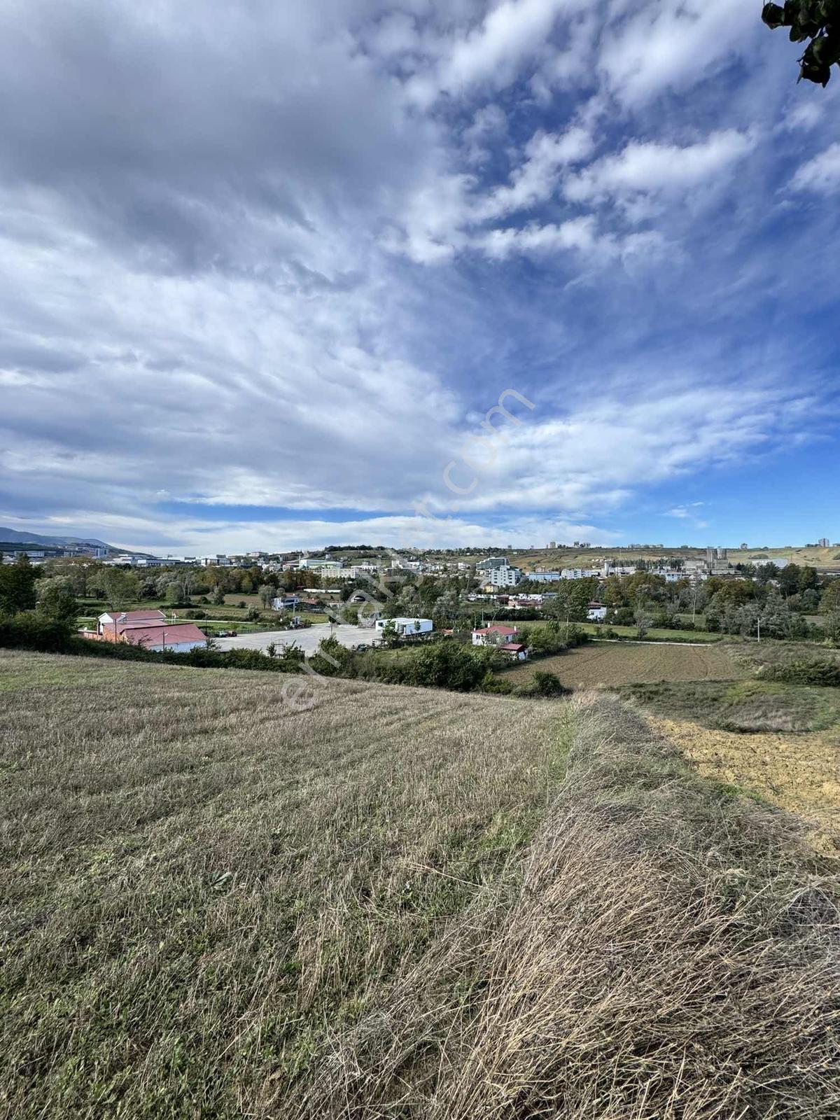 Samsunda Kaçırılmayacak Yatırım! 10.872 M² Satılık Tarla — fotoğraf 11