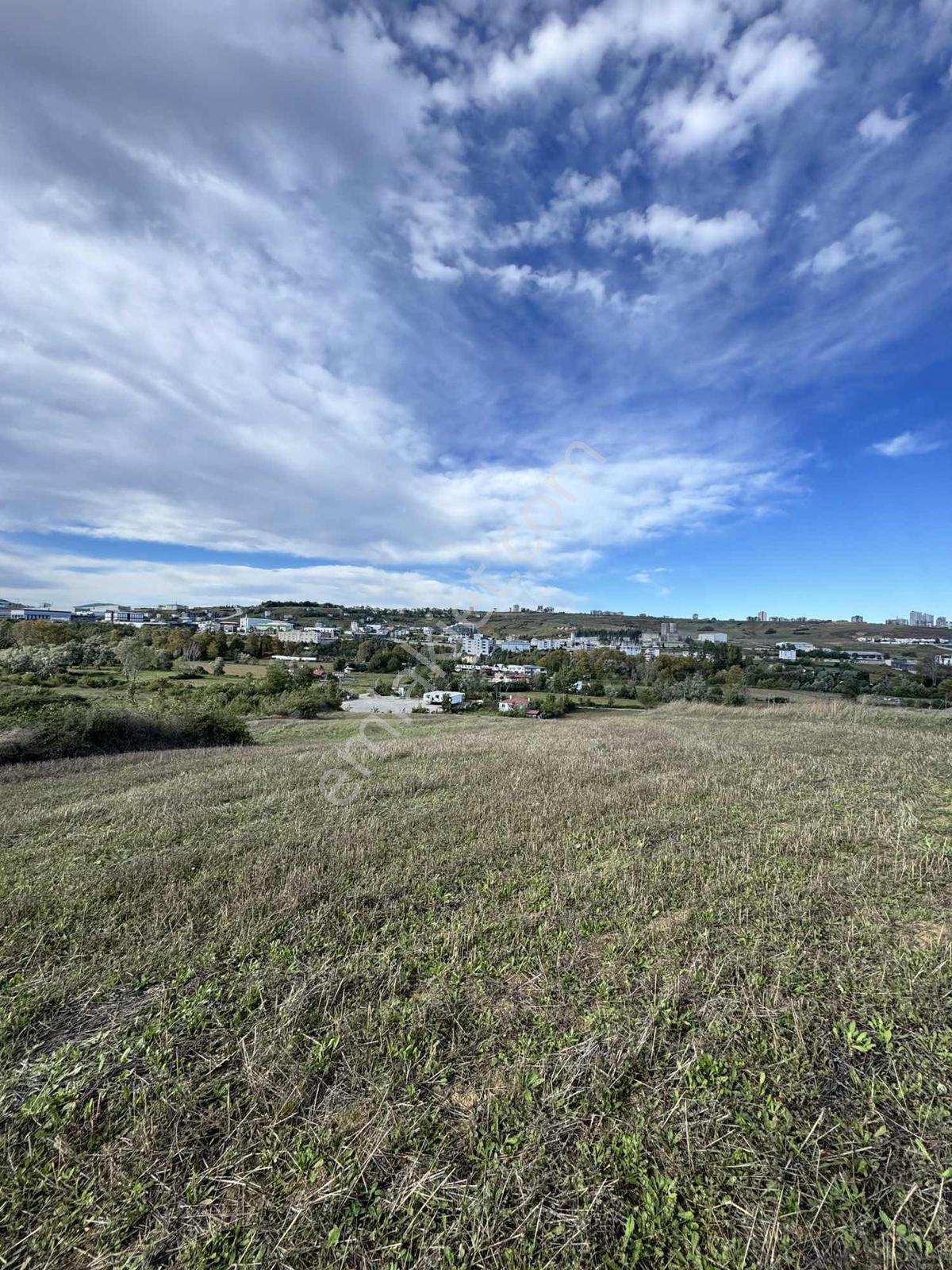 Samsunda Kaçırılmayacak Yatırım! 10.872 M² Satılık Tarla — fotoğraf 12