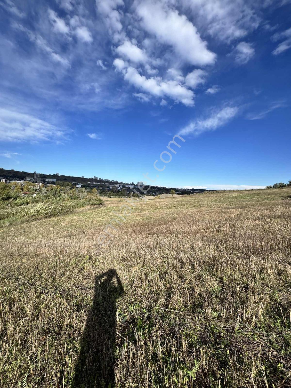 Samsunda Kaçırılmayacak Yatırım! 10.872 M² Satılık Tarla — fotoğraf 19