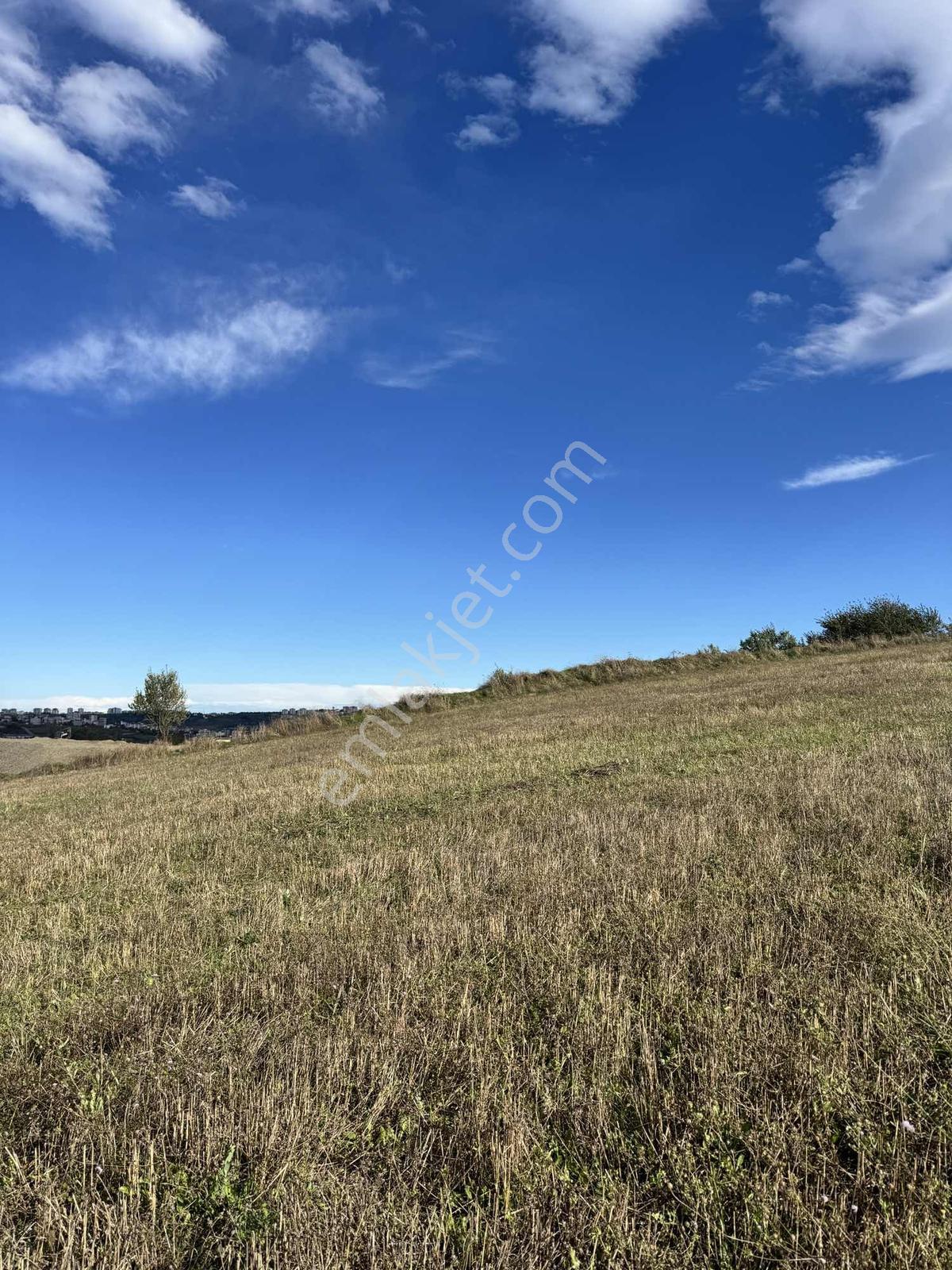Samsunda Kaçırılmayacak Yatırım! 10.872 M² Satılık Tarla — fotoğraf 22