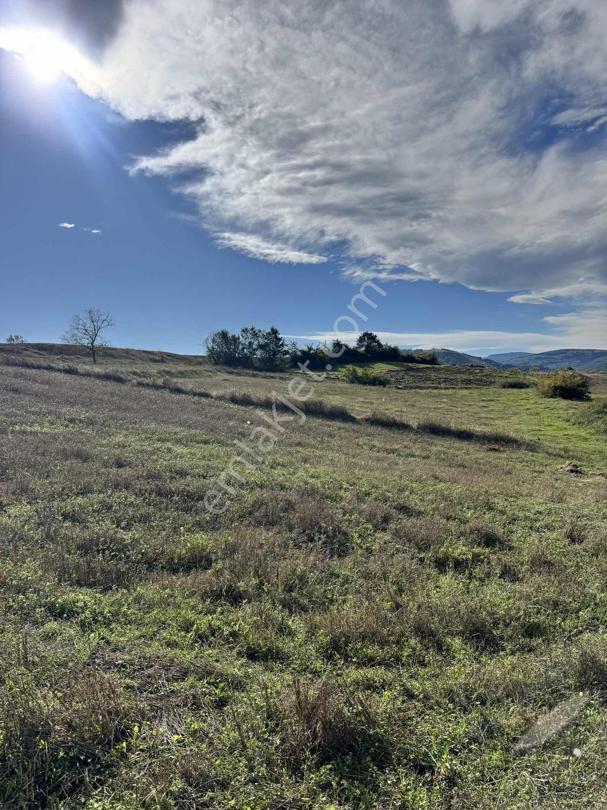 Samsunda Kaçırılmayacak Yatırım! 10.872 M² Satılık Tarla — fotoğraf 24