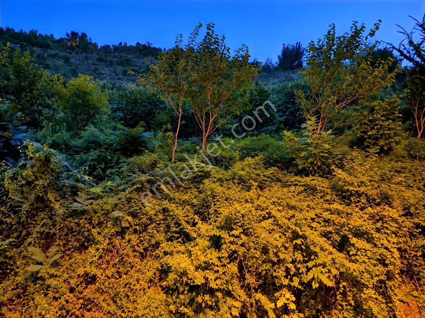 Çarşıbaşı Turizm İmarına Uygun Yatırımlık Arsa — fotoğraf 9