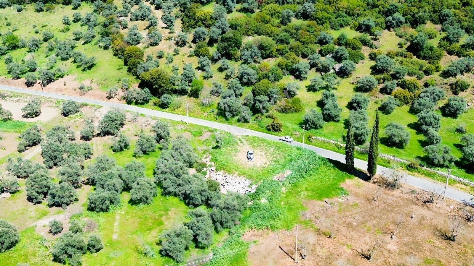 Tire Sb Emlak'tan Akyurt Mahallesinde Konut İmarlı Arsa — fotoğraf 4