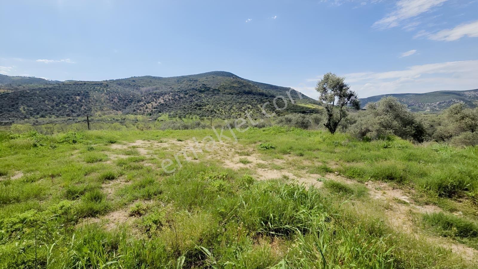 Tire Sb Emlak'tan Akyurt Mahallesinde Konut İmarlı Arsa — fotoğraf 5