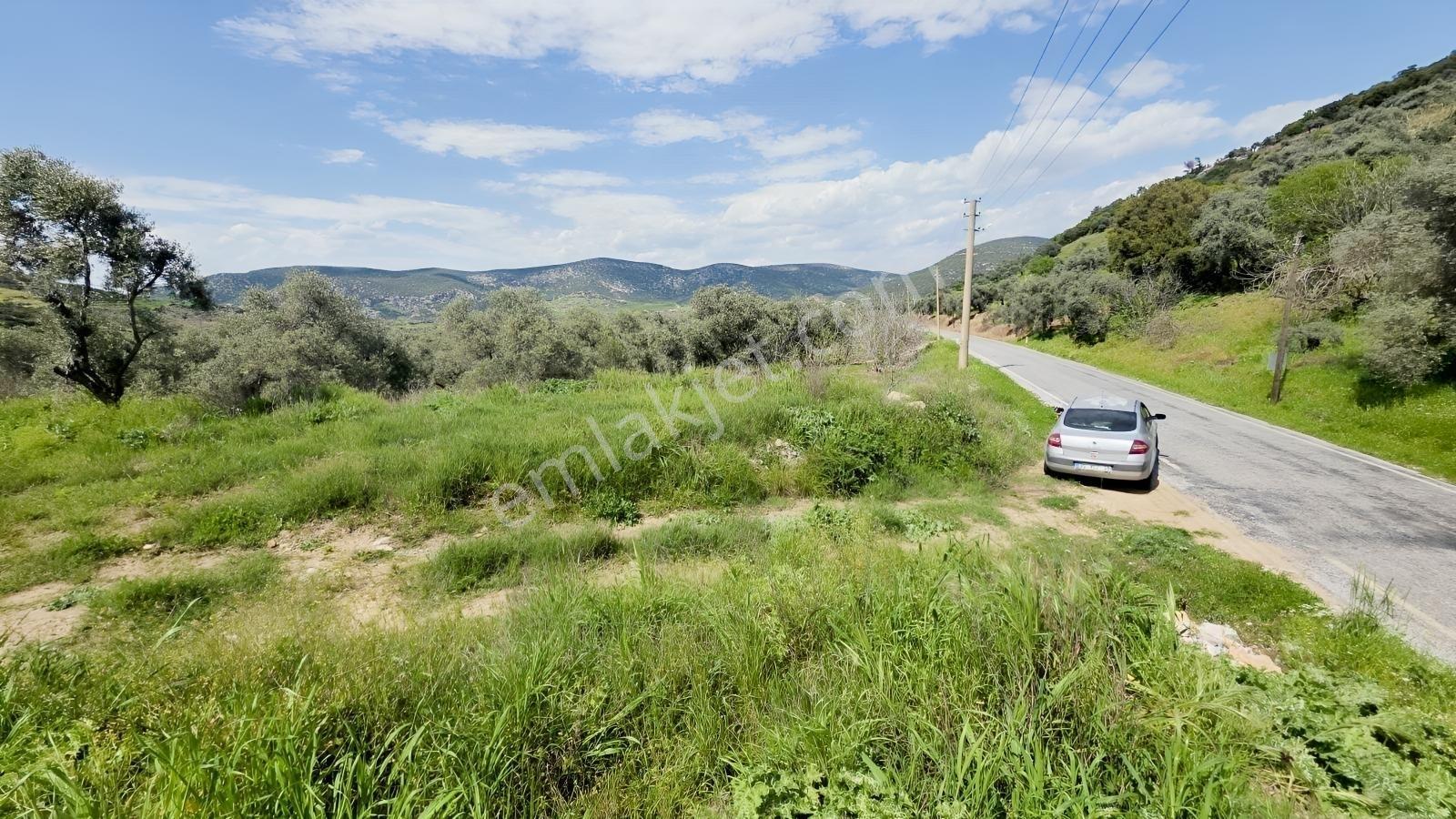 Tire Sb Emlak'tan Akyurt Mahallesinde Konut İmarlı Arsa — fotoğraf 6