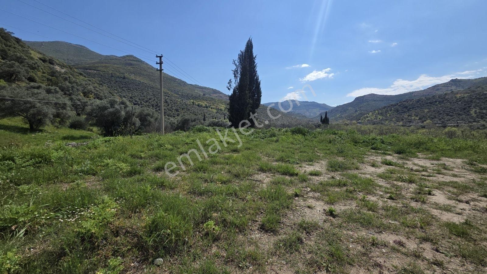 Tire Sb Emlak'tan Akyurt Mahallesinde Konut İmarlı Arsa — fotoğraf 7