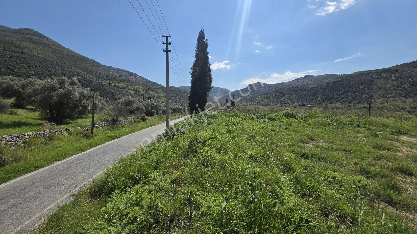 Tire Sb Emlak'tan Akyurt Mahallesinde Konut İmarlı Arsa — fotoğraf 8