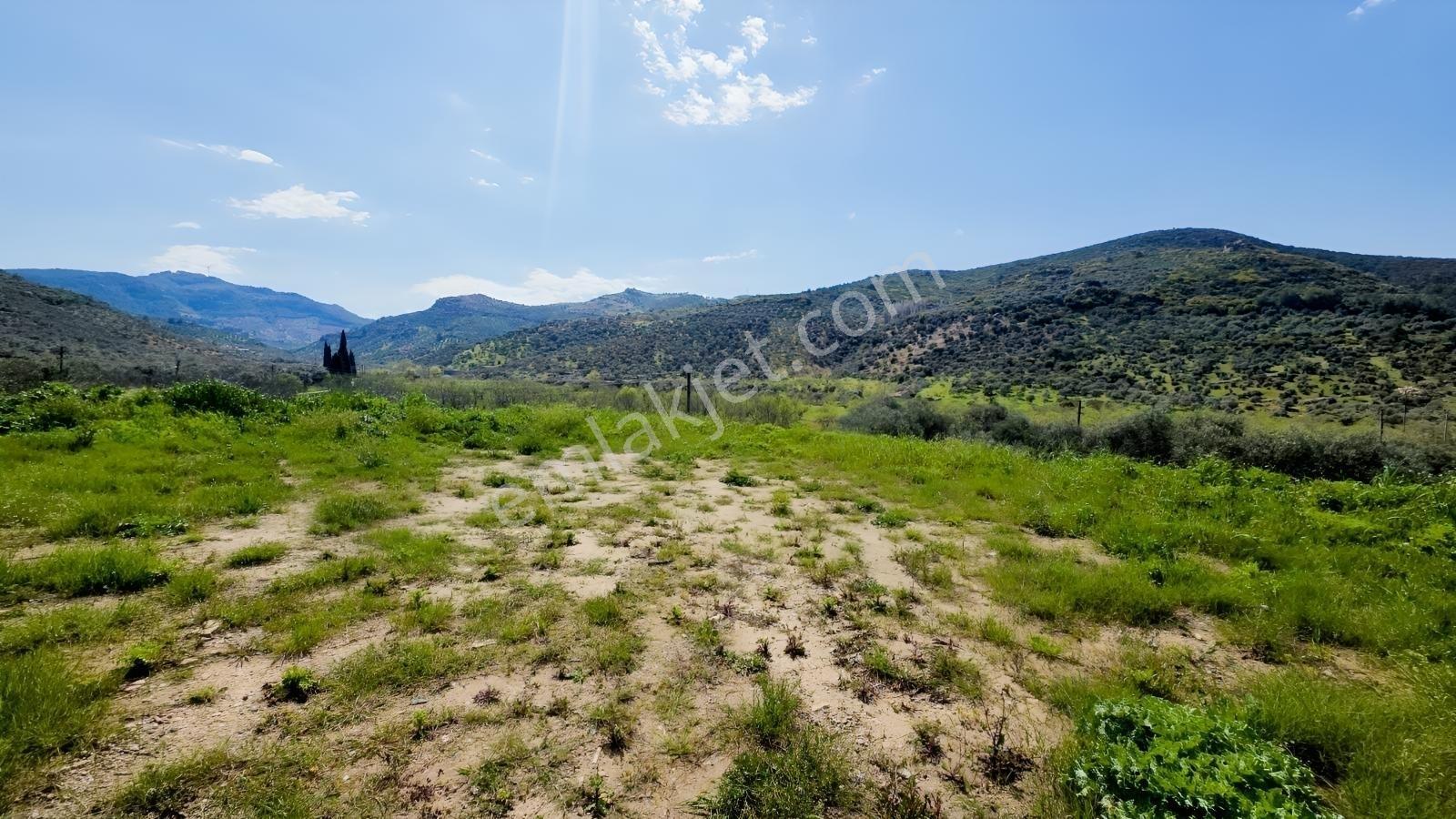 Tire Sb Emlak'tan Akyurt Mahallesinde Konut İmarlı Arsa — fotoğraf 9