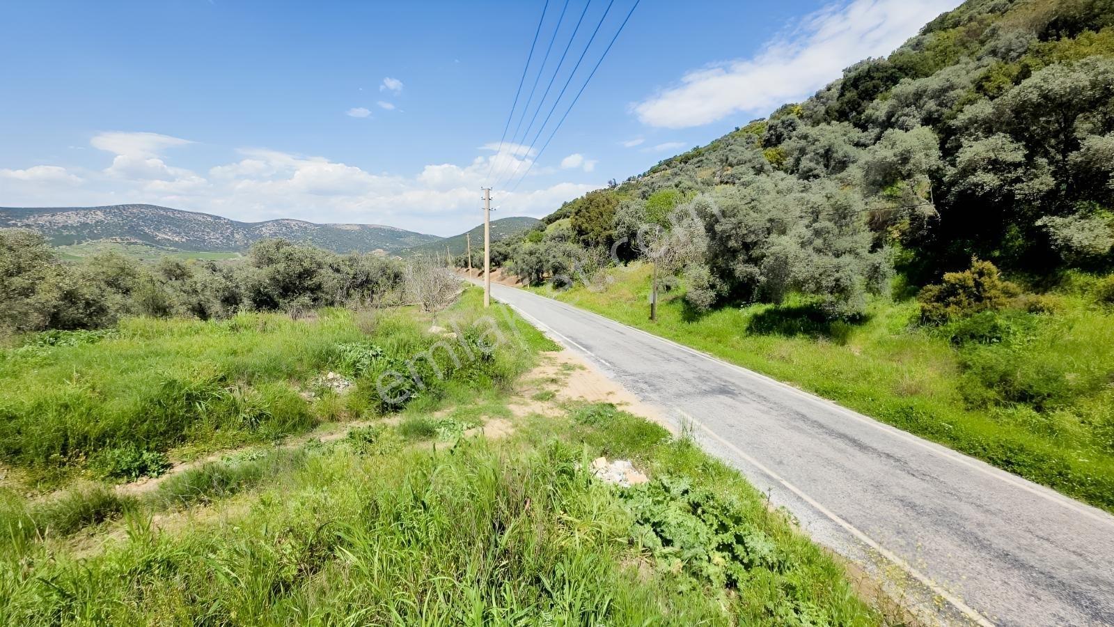 Tire Sb Emlak'tan Akyurt Mahallesinde Konut İmarlı Arsa — fotoğraf 11