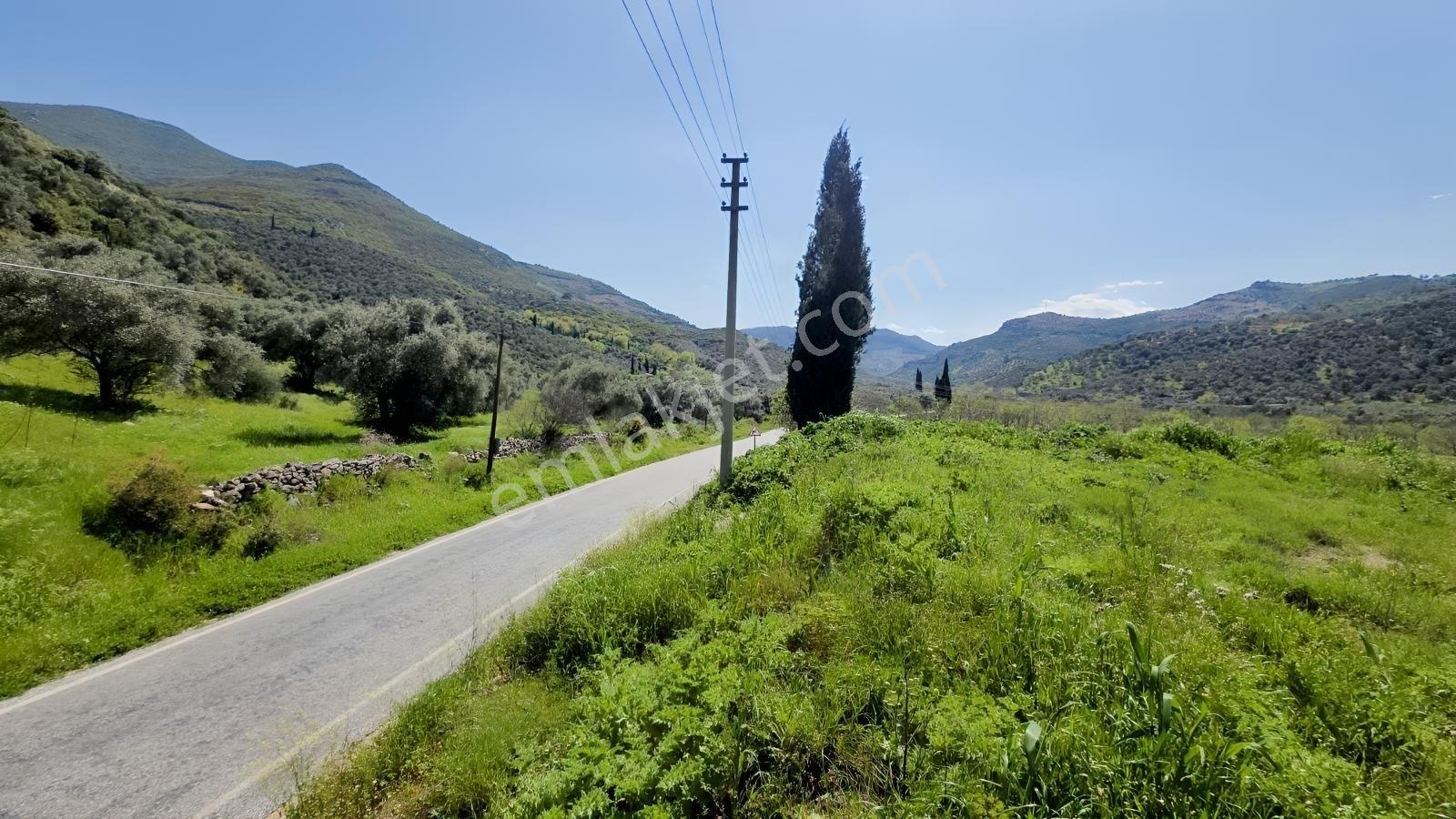 Tire Sb Emlak'tan Akyurt Mahallesinde Konut İmarlı Arsa — fotoğraf 14