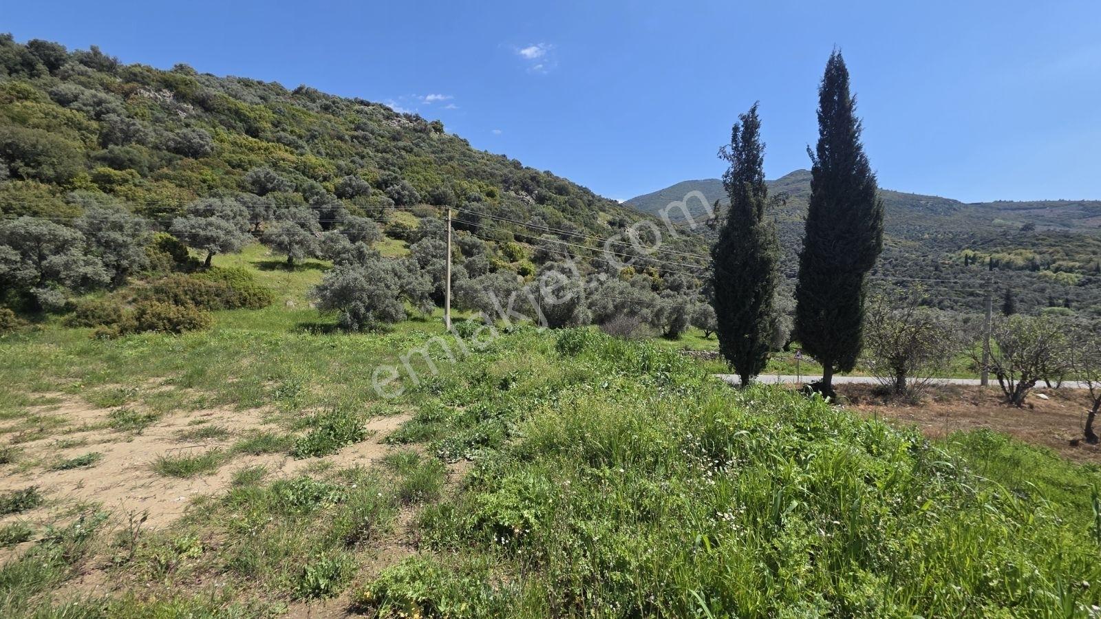 Tire Sb Emlak'tan Akyurt Mahallesinde Konut İmarlı Arsa — fotoğraf 15