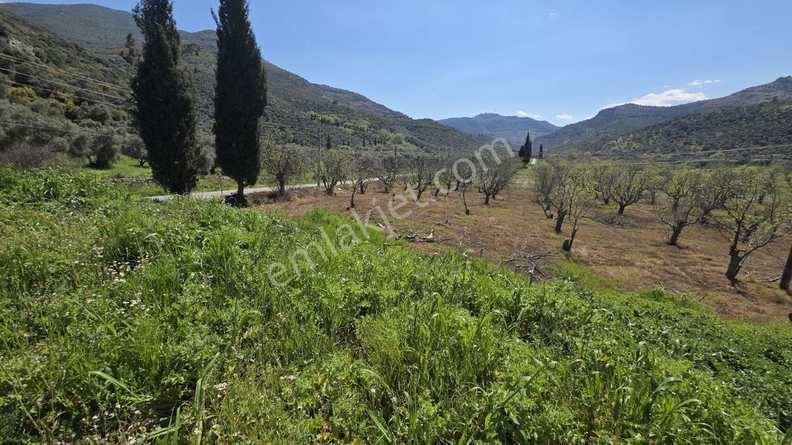 Tire Sb Emlak'tan Akyurt Mahallesinde Konut İmarlı Arsa — fotoğraf 16
