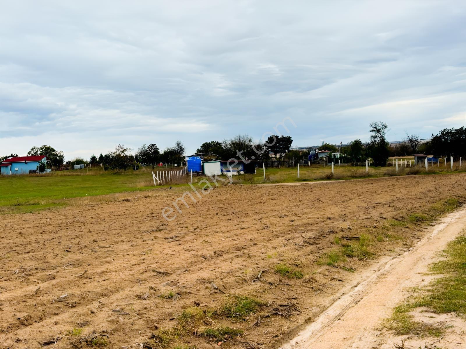 Güven'den Velimeşe'de 520m² Bağ Evimine Uygun Yola Cephe Arazi ! — fotoğraf 4