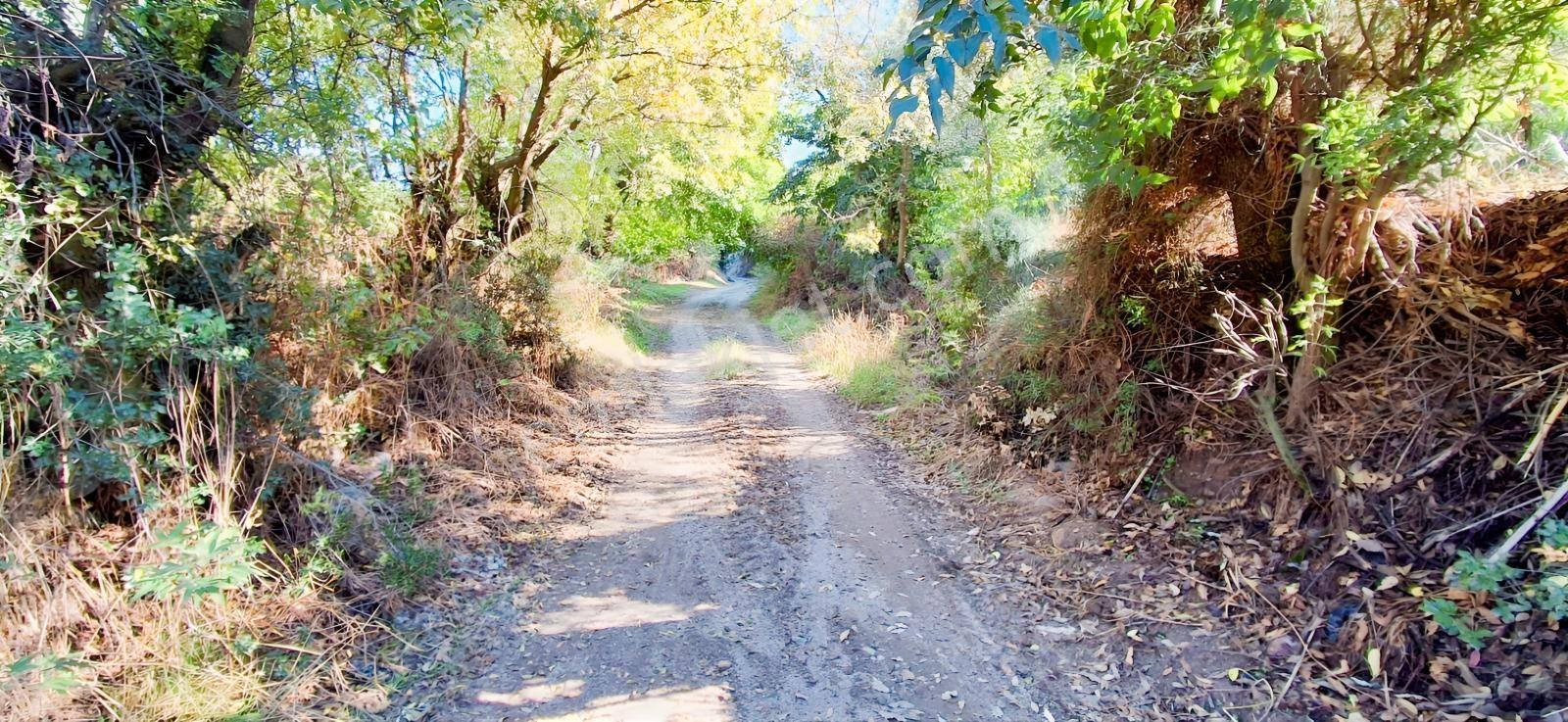 Aydın Nazilli İsabeylide Merkezi Konumda Satılık Bahçe — fotoğraf 5