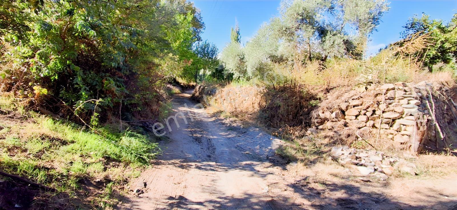 Aydın Nazilli İsabeylide Merkezi Konumda Satılık Bahçe — fotoğraf 6