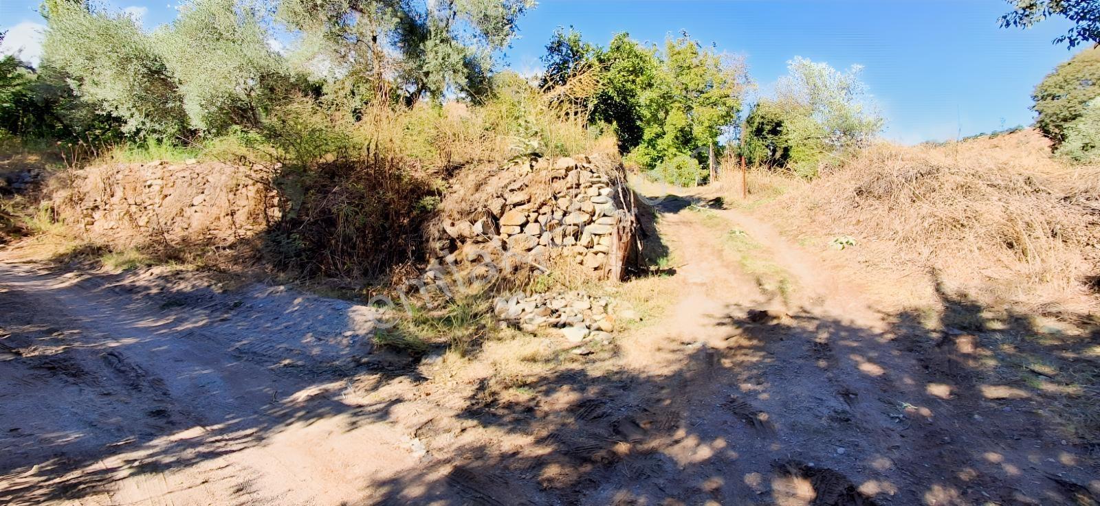 Aydın Nazilli İsabeylide Merkezi Konumda Satılık Bahçe — fotoğraf 7
