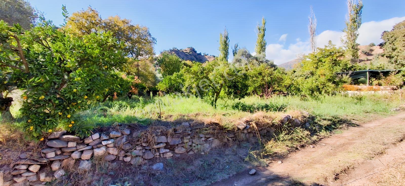 Aydın Nazilli İsabeylide Merkezi Konumda Satılık Bahçe — fotoğraf 8