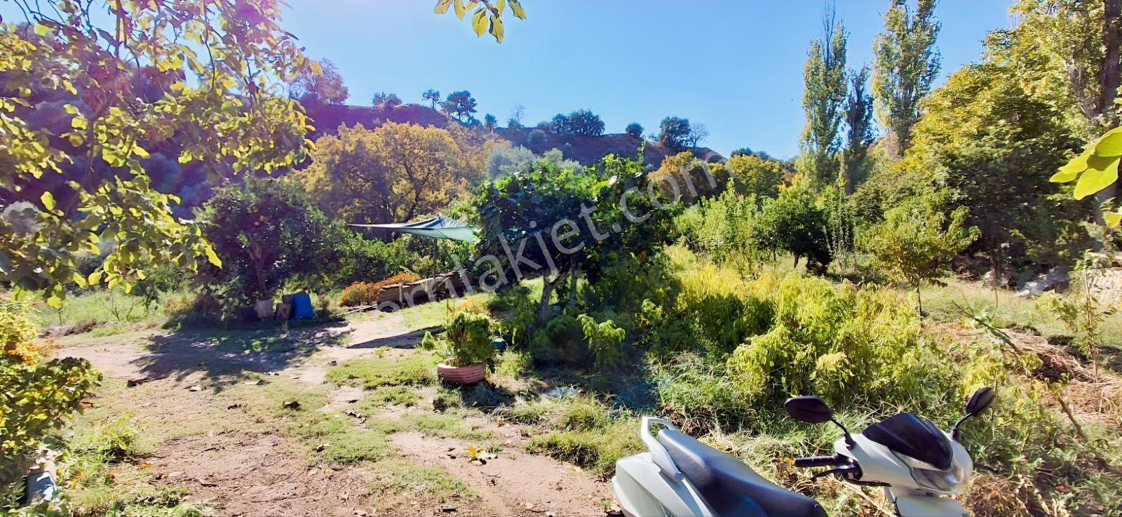 Aydın Nazilli İsabeylide Merkezi Konumda Satılık Bahçe — fotoğraf 13