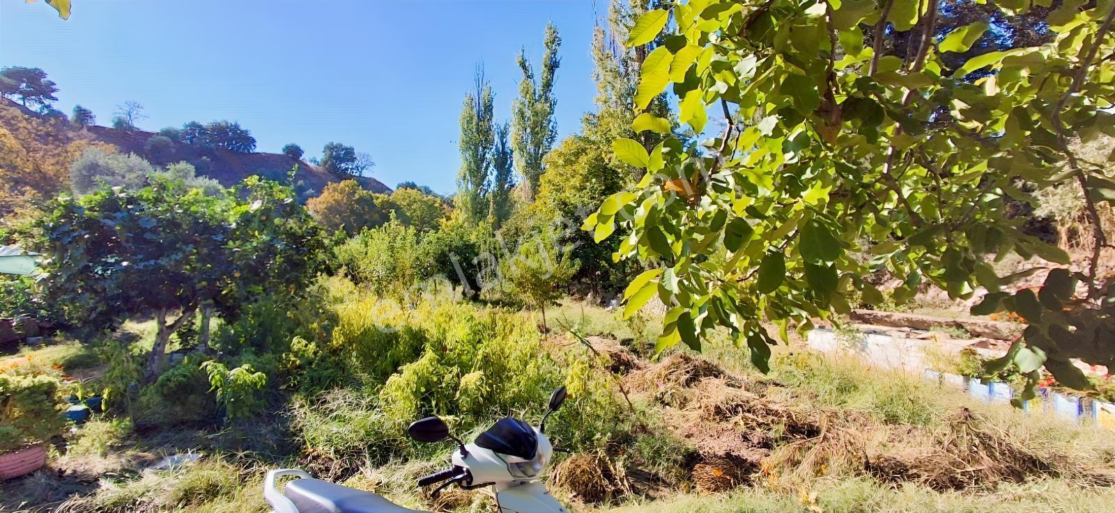 Aydın Nazilli İsabeylide Merkezi Konumda Satılık Bahçe — fotoğraf 14