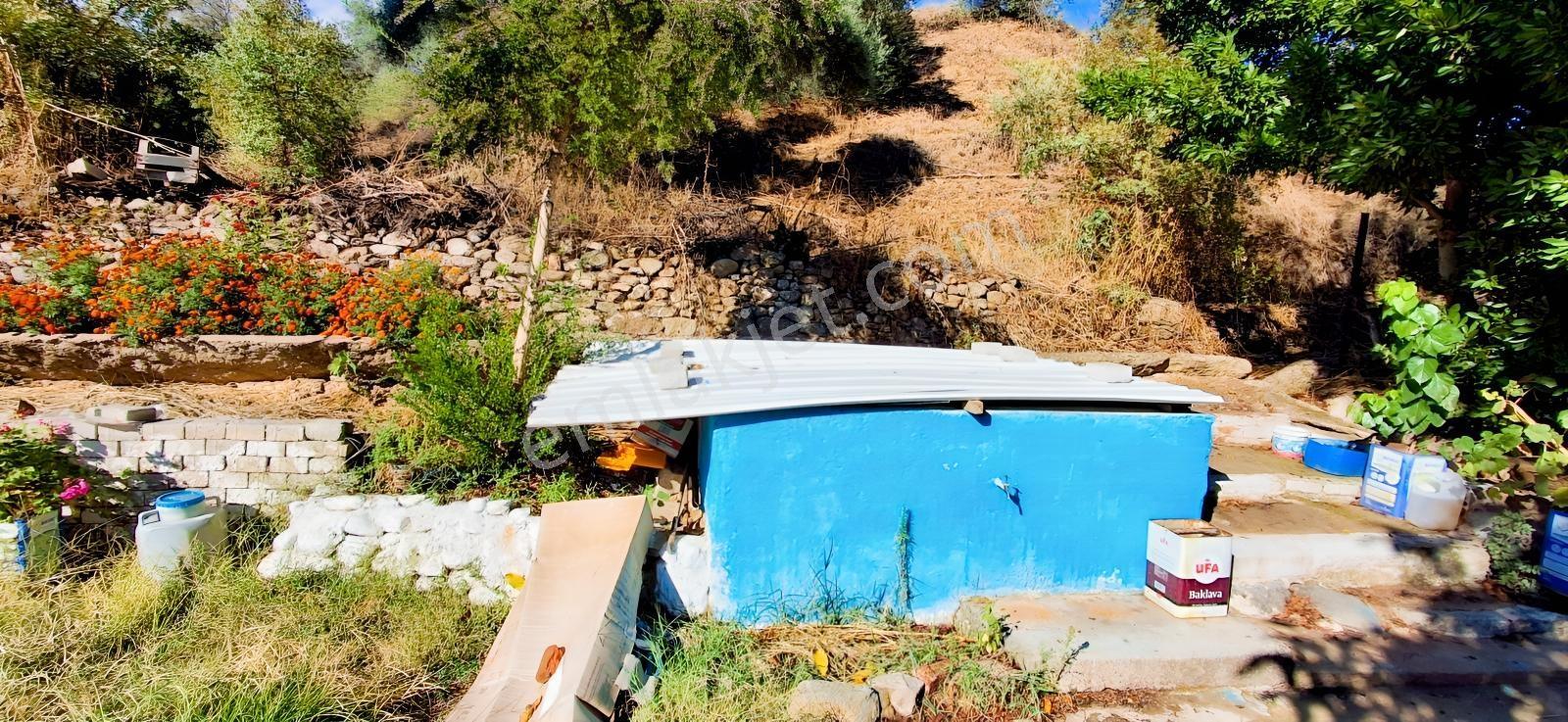 Aydın Nazilli İsabeylide Merkezi Konumda Satılık Bahçe — fotoğraf 26