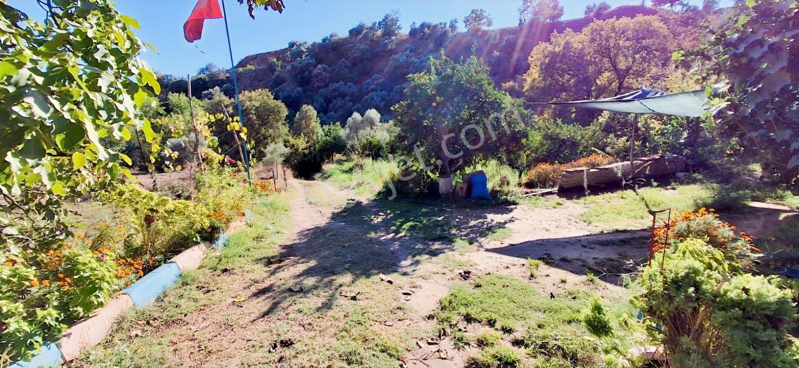 Aydın Nazilli İsabeylide Merkezi Konumda Satılık Bahçe — fotoğraf 29