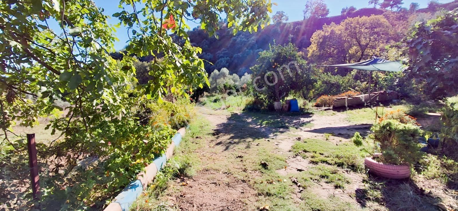 Aydın Nazilli İsabeylide Merkezi Konumda Satılık Bahçe — fotoğraf 30