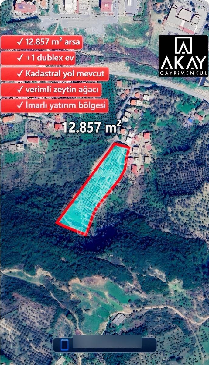Söke Kemalpaşa Mahallesinde Satılık 12857 M² Zeytinlik Ve Ev — fotoğraf 2