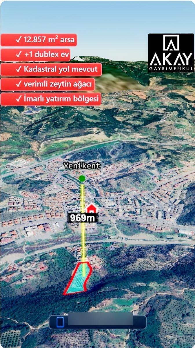 Söke Kemalpaşa Mahallesinde Satılık 12857 M² Zeytinlik Ve Ev — fotoğraf 4