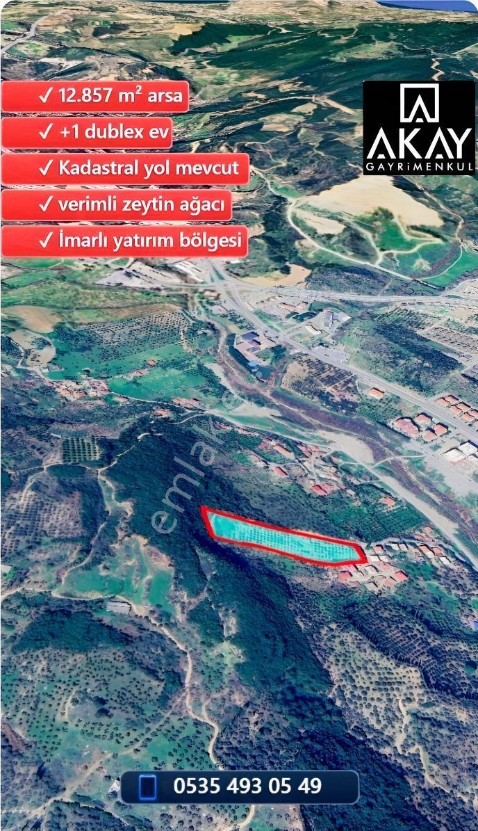 Söke Kemalpaşa Mahallesinde Satılık 12857 M² Zeytinlik Ve Ev — fotoğraf 7