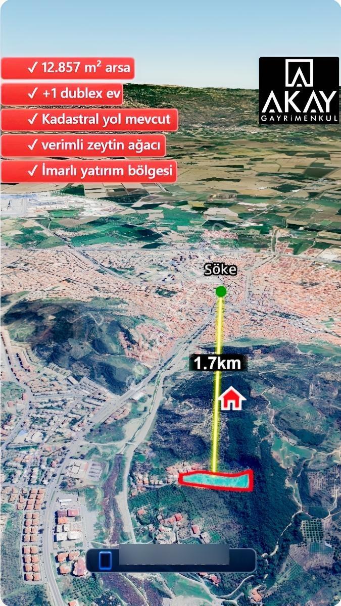 Söke Kemalpaşa Mahallesinde Satılık 12857 M² Zeytinlik Ve Ev — fotoğraf 8